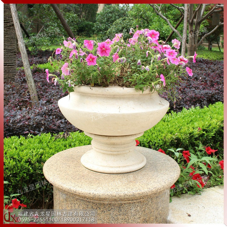 埃及米黃花缽圖片