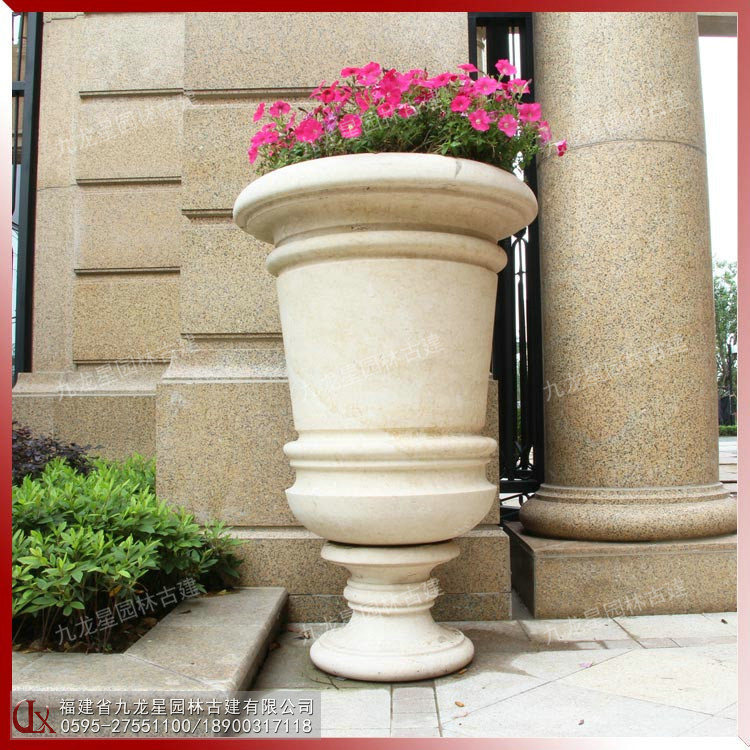 埃及米黃花缽圖片